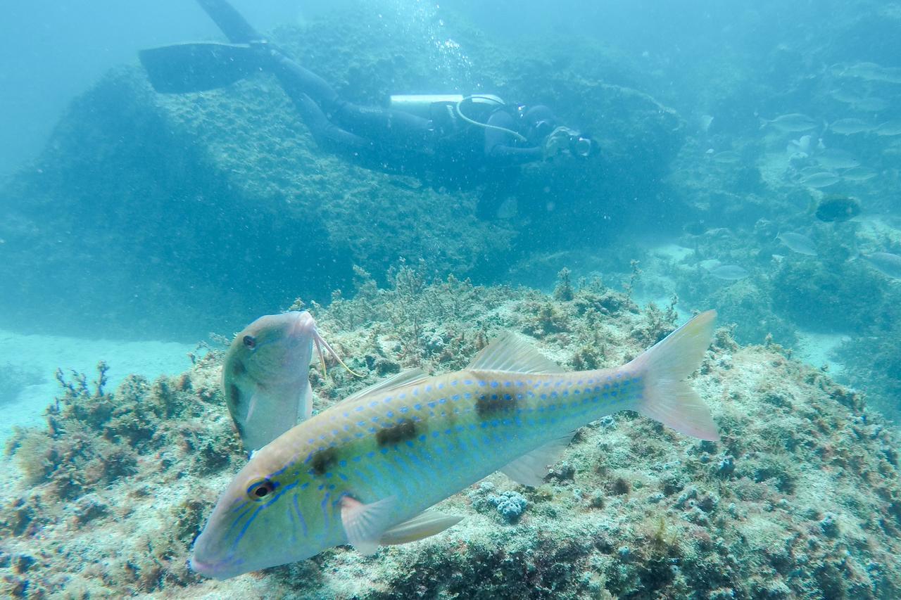 Cantinho Do Canaa Ξενοδοχείο Arraial do Cabo Εξωτερικό φωτογραφία